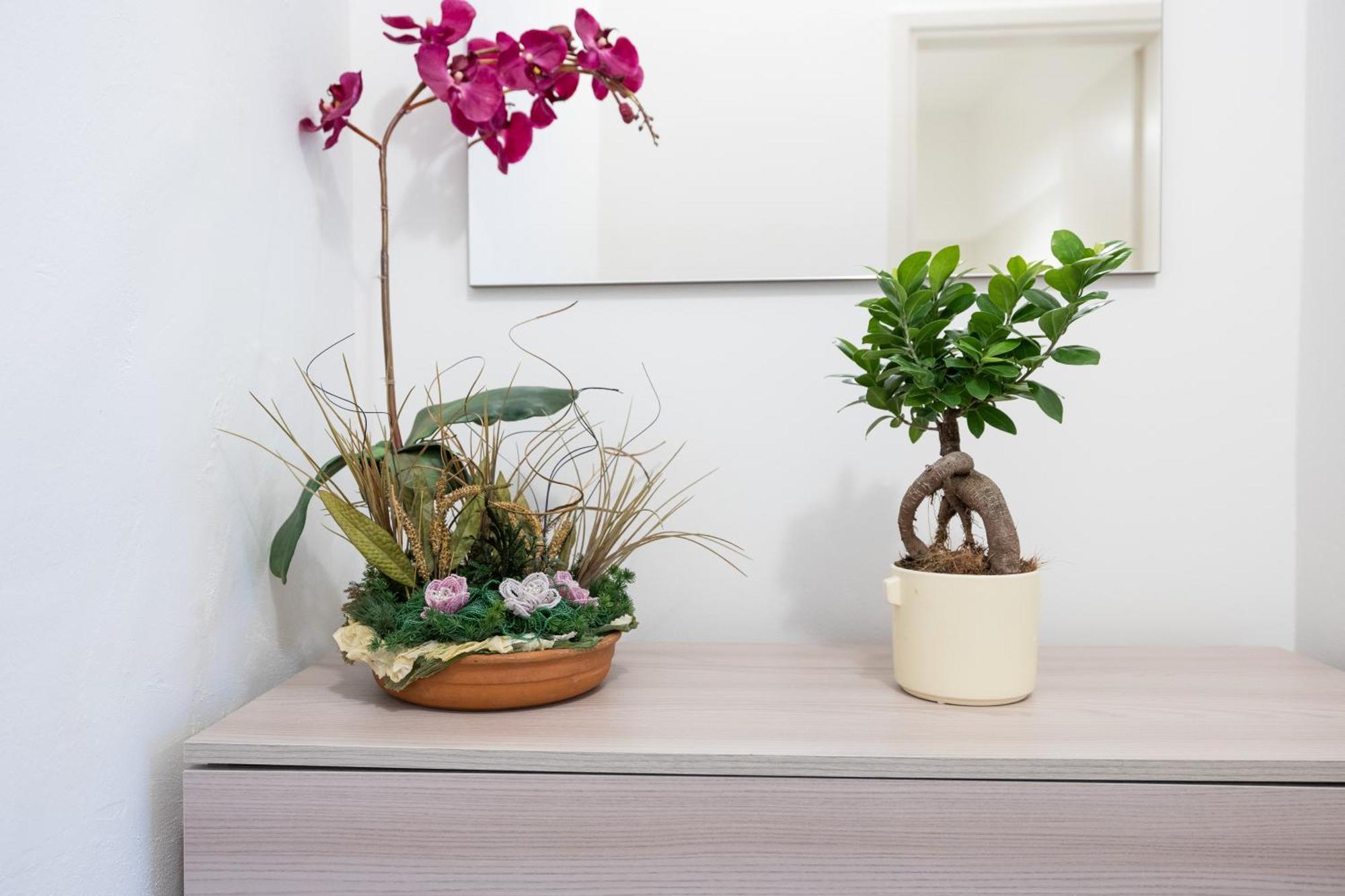 Monolocale Sguizzette Apartman Brescia megye Kültér fotó